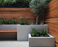 Small garden build, Shepherds Bush : A bespoke contemporary garden build featuring in-built seating, raised beds, sawn sandstone paving, cedar screening and Mediterranean planting