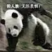 厚土呀
