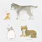 動物2 [3]