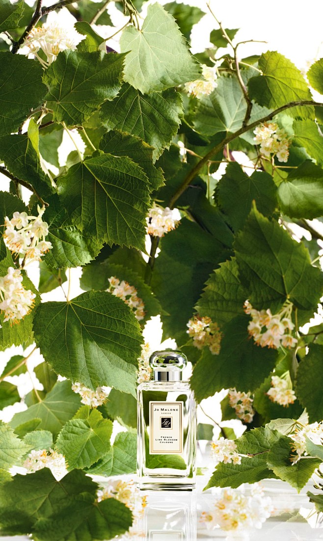 法国菩提花香水 | Jo Malone ...