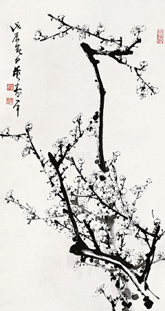 请叫我十年i采集到包装设计