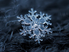 其实你不是采集到雪花