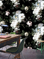 Love this wallpaper by Ellie Cashman - gorgeous details and depth in these flowers!: 