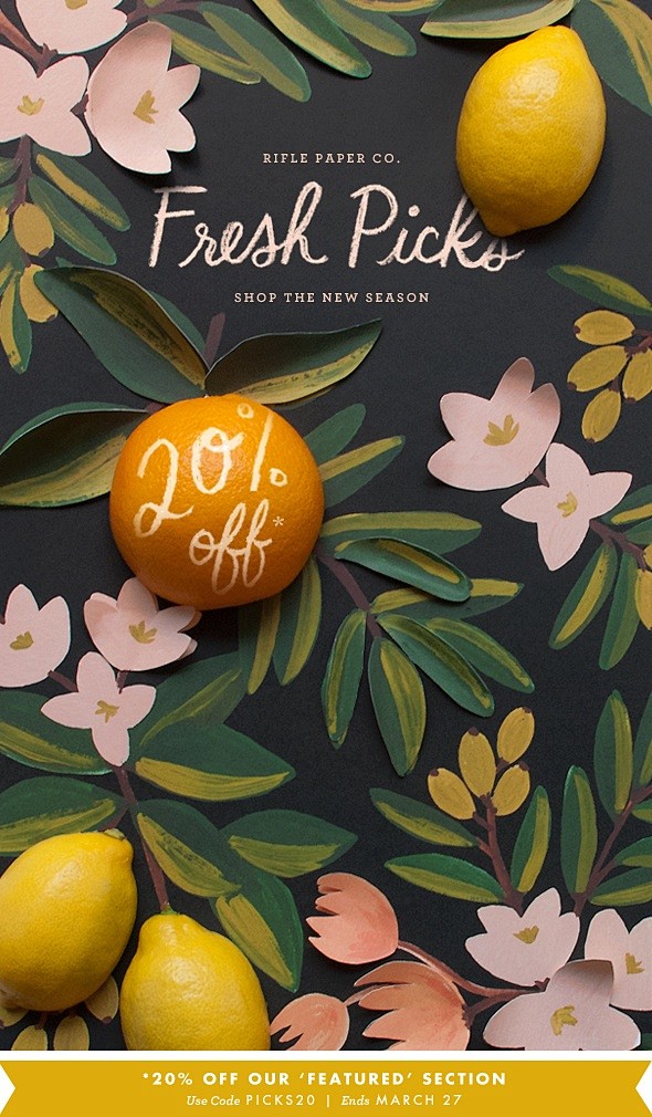 Rifle Paper Co.