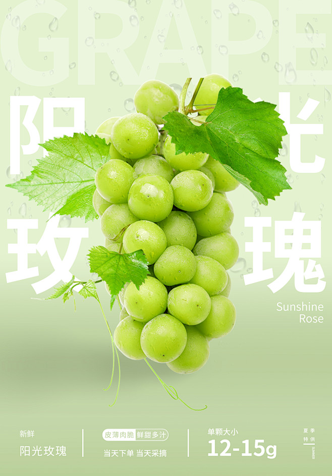 阳光玫瑰海报