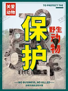 保护野生动物 【酷图网】止吃野动物,禁止食用,野生动物,禁止捕杀,野生动物海报,禁食野生动物,禁吃野生动物,禁止食野味,严禁吃野味,禁止吃野味,保护野生动物,禁止滥捕乱杀,野生动物广告,保护动物海报,禁止销售野生,动物海报,禁止捕食,野生动物宣传,展板,公益广告,禁止买卖野味