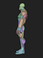 Stylized Hero *Anatomy Blockout