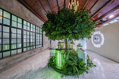 小纤纤采集到超级现场~植物美陈