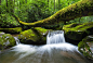 树林里的小溪瀑布自然美景摄影图片