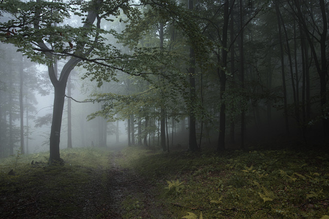 57a8a5e6494041fc86b0fe52f23d63c8c9fcf889c3a19f-s6eYun_fw658