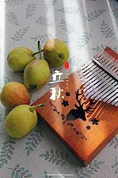 立秋，是“二十四节气”之第十三个节气，也是秋季的起始。立秋的“立”字是开始的意思，标志着孟秋时节的开始。立秋不仅预示着炎热的夏天即将过去，秋天即将来临，也表示草木开始结果孕子，收获季节来临。