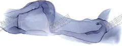水彩色块 【酷图网】水彩,水墨,晕染,艺术,背景,底图,壁纸,元素,装饰,创意,图案,纹样,花纹,肌理,肌底,纹路,底纹,素材,抽象,涂鸦,手绘,色块,叠加