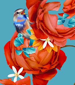 xNFil_嚸嚸采集到BEHANCE