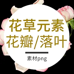 采集图片