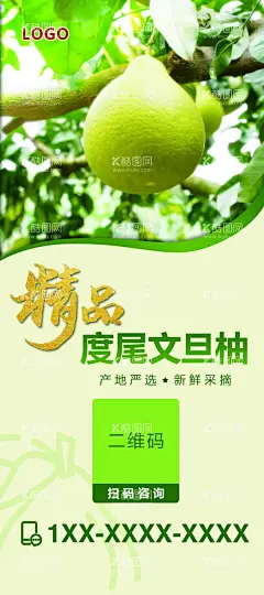 文旦柚柚子  - 源文件下载【酷图网】精品,展架,海报,水果,柚子,绿色,二维玛