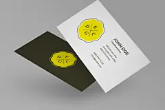 黑白两色名片品牌VI样机