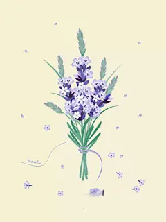 薰衣草