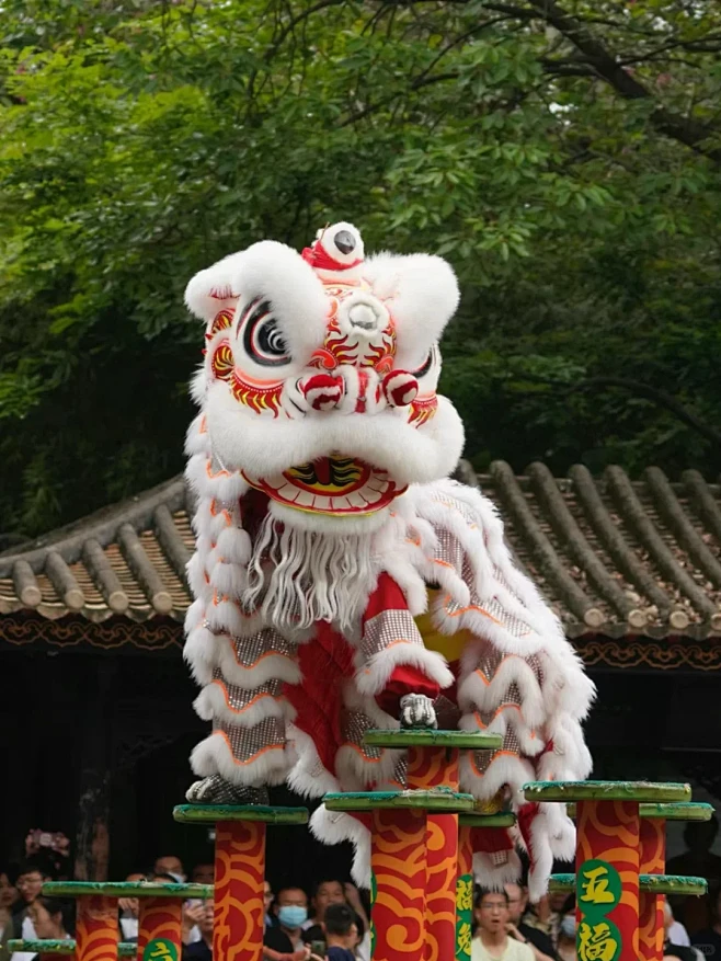 LING动飘逸，解锁醒狮非遗魅力 - 小红书-花瓣网