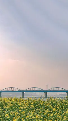 文艺小清新唯美风景高清图片高清手机壁纸