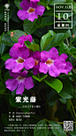 中国科学院西双版纳热带植物园