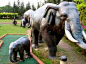 【七洲网】吉隆坡 大象保护园包车 一日游（8小时）,广州到吉隆坡旅游线路