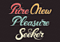 Pure New Pleasure Seeker : Self initiated typographic project inspired by the Moloko song 'Pure Pleasure Seeker'.