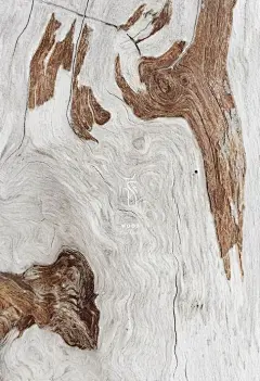 查看图片