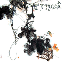 不离不弃不舍得采集到水墨