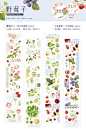 O1CN01OrRy4E2DLBZ8NesVX_!!326568592.png (1269×1900)