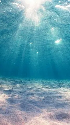 梦幻大海H5背景
