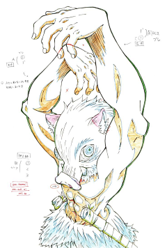 _Dominik采集到素材