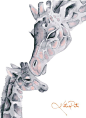 Blush Pink and Gray Giraffe Mom and Baby Print of my original watercolor painting by Katrina Pete. Perfect for a giraffe themed baby shower: 