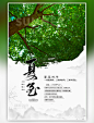 二十四节气夏至大树绿色简约海报