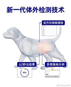 lonelyJuju采集到电商 宠物类