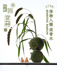 蝴蝶灵魂采集到静物摄影参考图