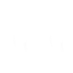 hontw