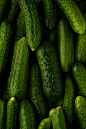 Full frame shot of cucumbers