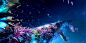 SPACES INSIDE SLEEP :: Behance