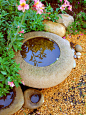 Santa Barbara: Cottage Garden : Cottage garden, curb apeal, edible garden, front yard, kitchen garden, picking garden, vegetable pots, veggie garden, veggie pots, 