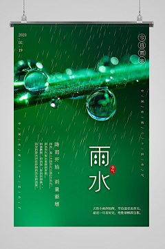 这个夏天没有萤火虫采集到排版