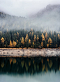 View on a coniferous forest across a lake