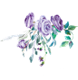 @冒险家的旅程か★
鲜花png素材 png透明背景素材 紫色花卉 彩铅彩绘花朵 免抠植物