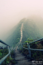 [] 第一旅行网夏威夷欧胡岛上的天梯，有人敢走么。@第一旅行网来自:新浪微博4 摘录0 喜欢0 评论