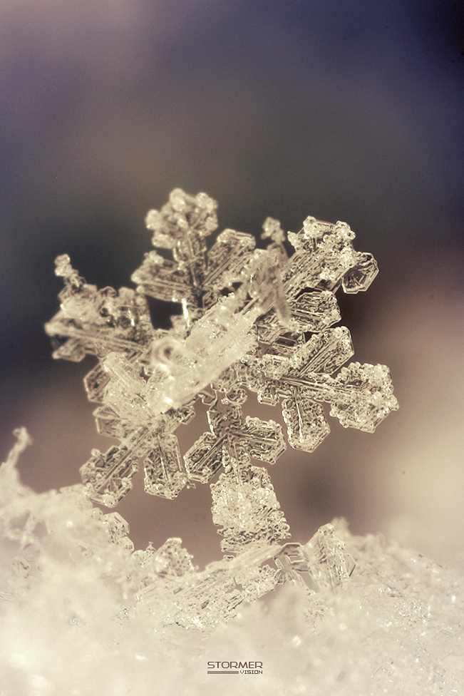 雪花