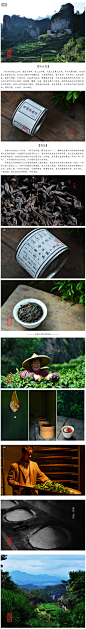 武夷山草木君私房茶 50g罐装 武夷岩茶 【不知春斋-馬頭岩肉桂】-淘宝网