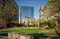 5-美国马塞诸塞州综合医院的康复花园景观设计第5张图片
