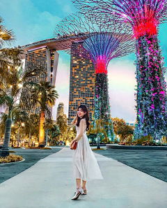 新锐思广告设计采集到新加坡