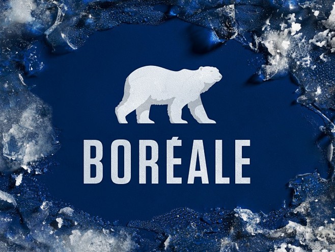 BORÉALE啤酒品牌包装升级设计-lg...