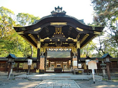 UDMBXJiN采集到背景