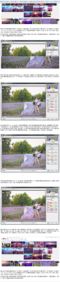 婚片后期—— 外景花海薰衣草_PS家园网